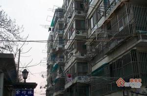 虹桥小区小区图片