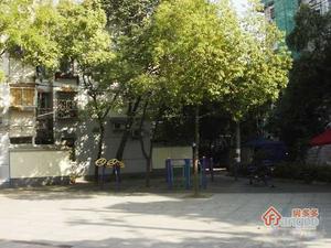 双乐园小区图片