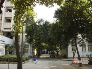 友谊村小区图片
