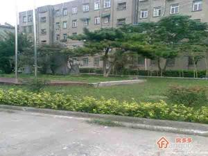 扬子十村小区图片