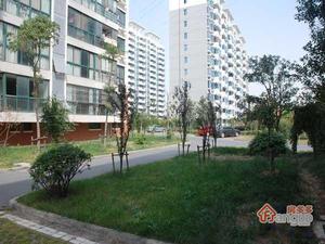康馨花园(江宁)小区图片