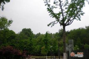 南江花苑小区图片