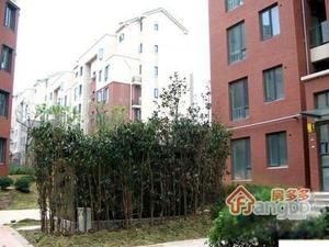 东郊小镇第一街区小区图片