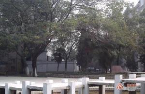 扬子二十村小区图片