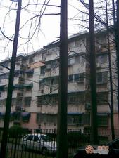 西园小区小区图片