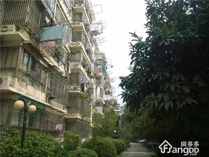 黑龙江路26号小区图片