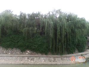 中央门小区图片