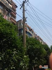 卫岗西小区小区图片
