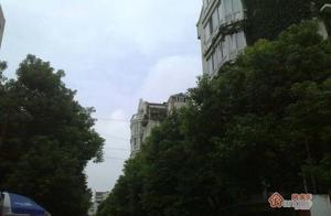 美林苑小区图片