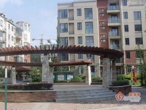 东郊小镇第三街区小区图片