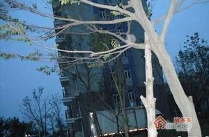 工程学院家属区小区图片
