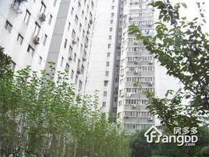 弓箭坊小区小区图片