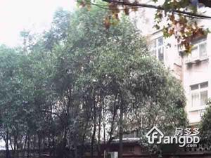 九龙洼小区图片