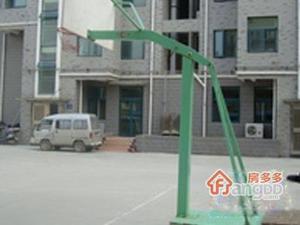 孝陵卫小区图片