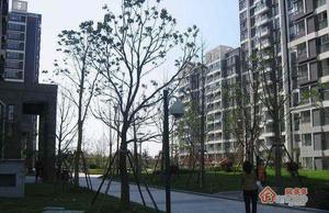 亚东名座小区图片