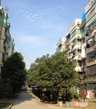 龙凤佳园小区图片