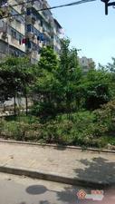 营苑新寓小区图片