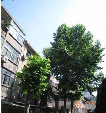 南化九村东巷小区图片