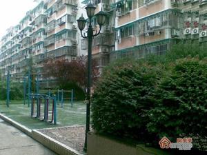 长虹路203号小区图片