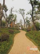 香山湖一号小区图片
