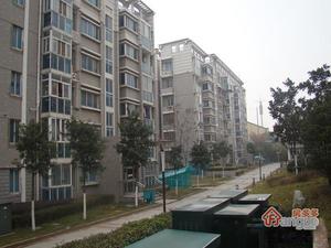 蓝筹谷小区图片