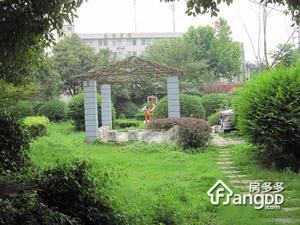 雨花西路16号小区图片