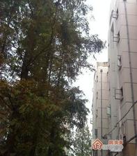 成贤街小区小区图片