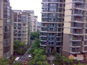 瑞阳尊邸小区图片