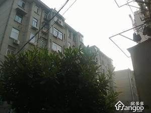 华侨路小区小区图片