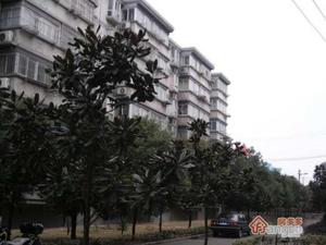 草芳新苑小区图片
