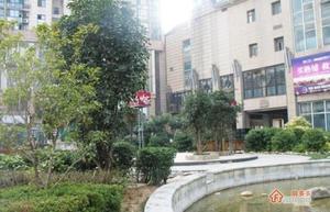 新城市假日小区图片