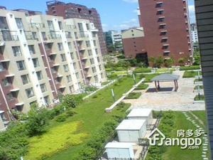 浦东路6号小区图片