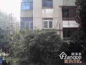 扬子十九村小区图片