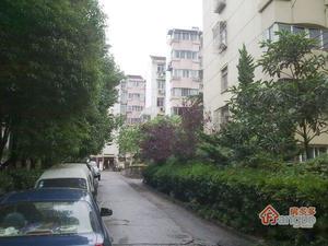 蒋王庙小区图片