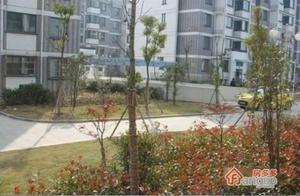 淳东花园小区图片