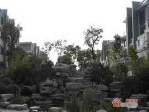 竹山公寓小区图片