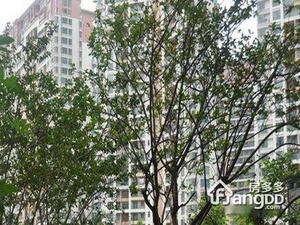 时尚空间小区图片