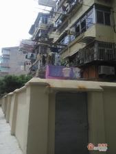 东井村44号小区图片