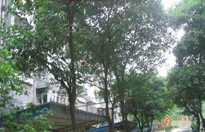 金陵闸小区小区图片