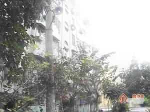 花园路小区图片