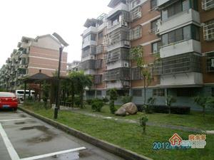 东亭家园小区图片