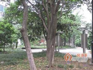三元一村小区图片