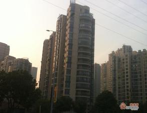 丽湾国际小区图片