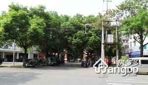 鲈乡二村小区图片