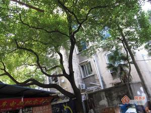 南环新村小区图片