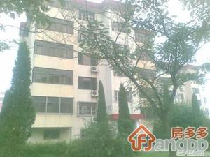 东环新村小区图片