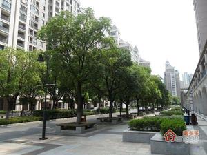 欧洲城小区图片