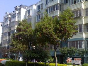绿色时光花园小区图片
