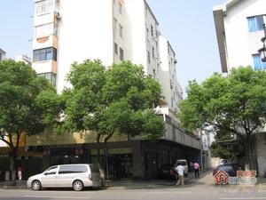 南园南路（散盘）小区图片