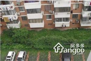 羽绒新村小区图片